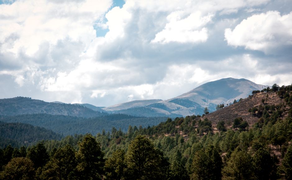Ranch grounds